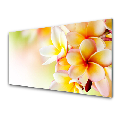 Skleneny obraz Záber zblízka na kvety