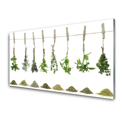 Skleneny obraz Bylinky a korenie