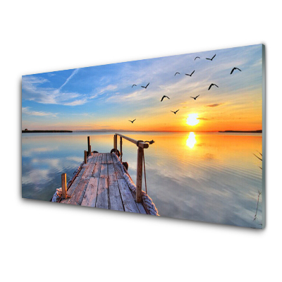 Obraz na skle More a vtáky v lete