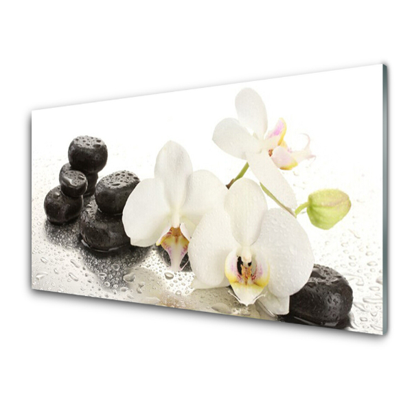 Skleneny obraz Čierne kamene Orchidea