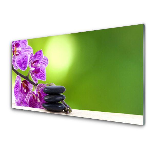 Skleneny obraz Orchidey na zelenom pozadí