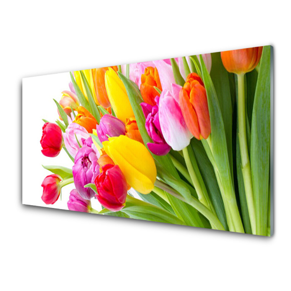 Skleneny obraz Farebná kytica tulipánov