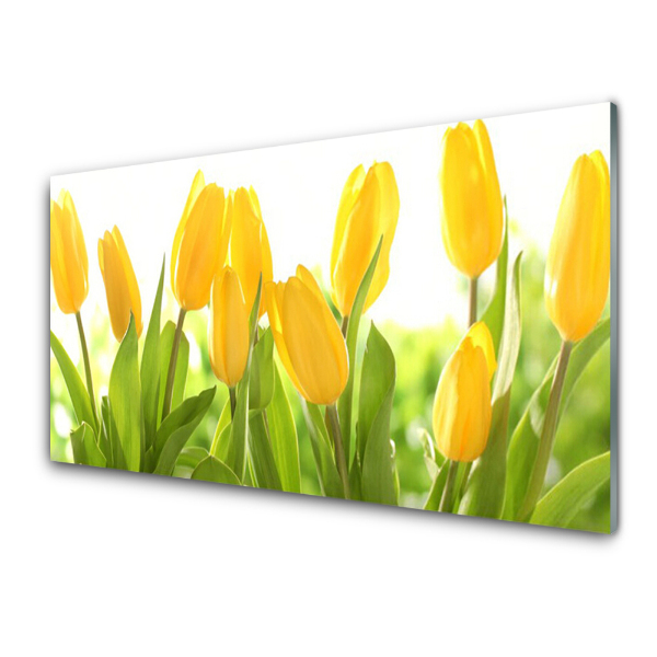 Sklenený obraz Žltý kvet tulipánu