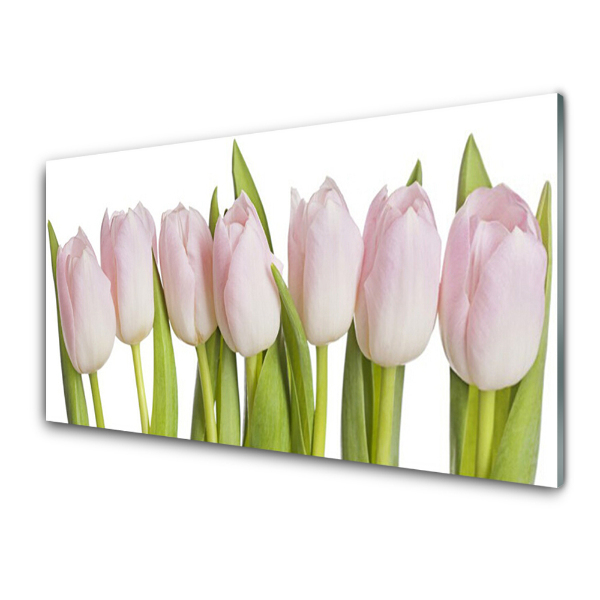 Obraz na skle Svetloružové tulipány Kvety rastlín