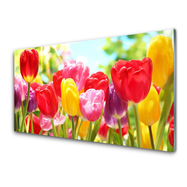 Skleneny obraz Pestrofarebné tulipány