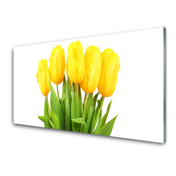Skleneny obraz Tulipány Kvetina