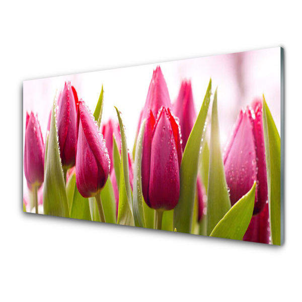 Skleneny obraz Tulipány a rosa