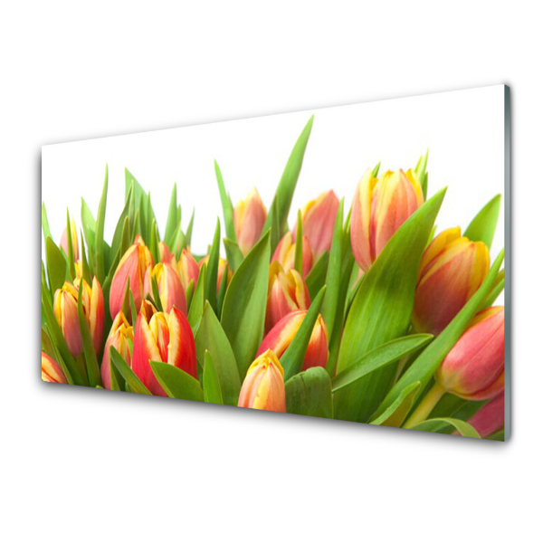 Obraz na skle Kytica červených tulipánov