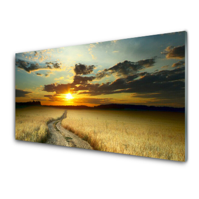 Obraz na skle Cesta Pole Krajina