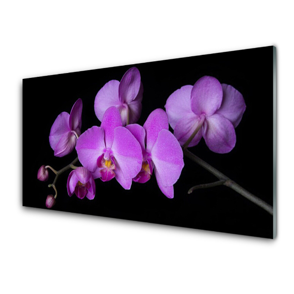 Skleneny obraz Orchidea Orchidea čierne pozadie