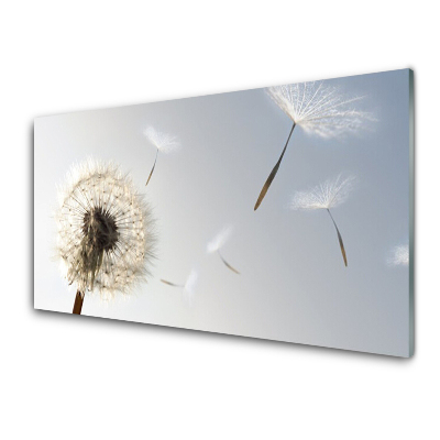 Obraz na skle Semená dymovnice sivé pozadie