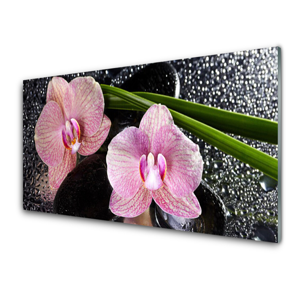 Obraz na skle Orchidea Ružová zenová orchidea
