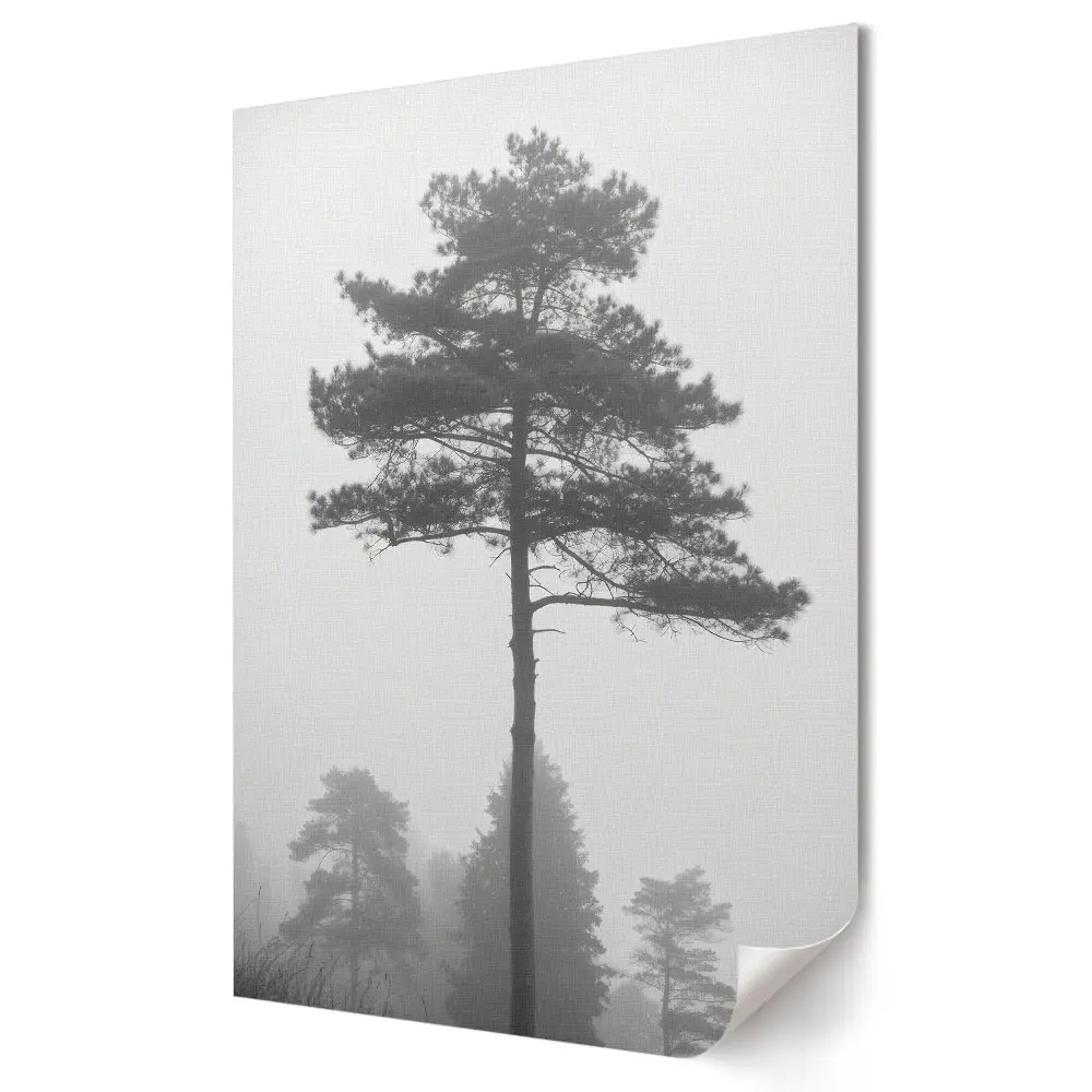 Plagát Misty Pine v čiernobielom prevedení