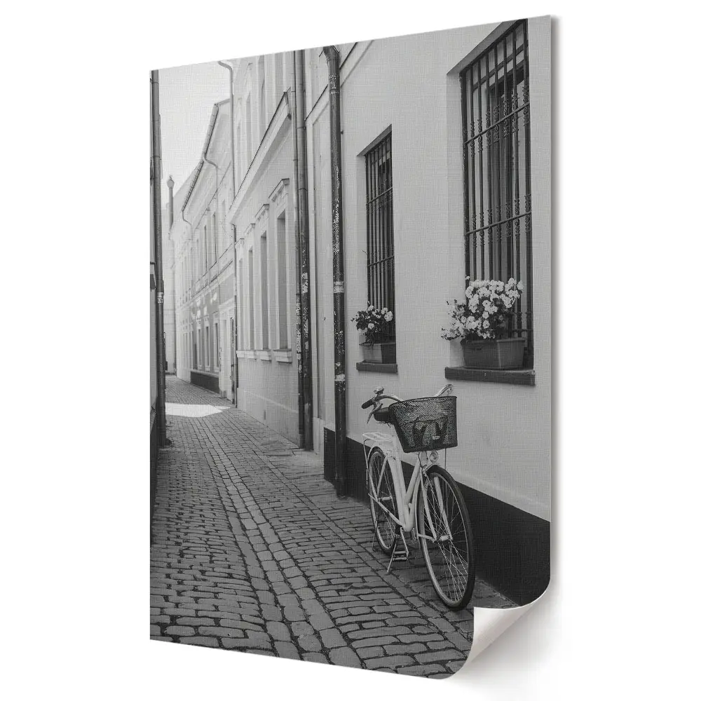 Čiernobiela plagát Tichá ulica s bicyklom