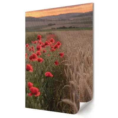 Poster Makové kvety v zlatom poli