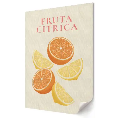 Umelecký plagát do obývačky s motívom farebného citrusového ovocia