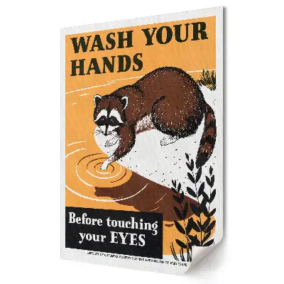 Poster Hygiena rúk pre zdravé oči