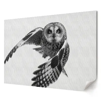 Retro plagát Sova za letu v monochromatických tónoch