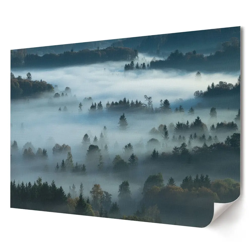 Plagát do obývačky Hmlistá lesná panoráma pri východe slnka