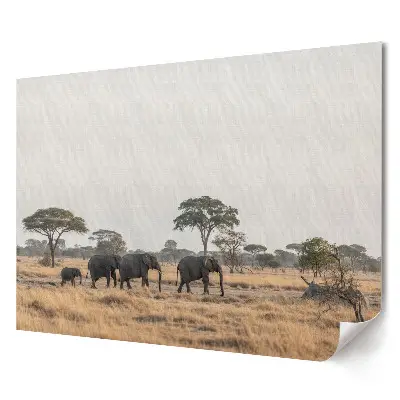 Retro plagát Stádo slonov na africkej savane
