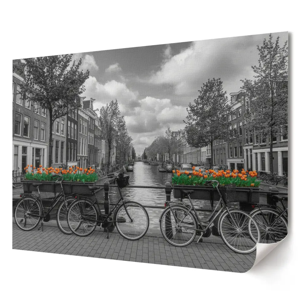 Plagát do obývačky Bicykle a tulipány v Amsterdame