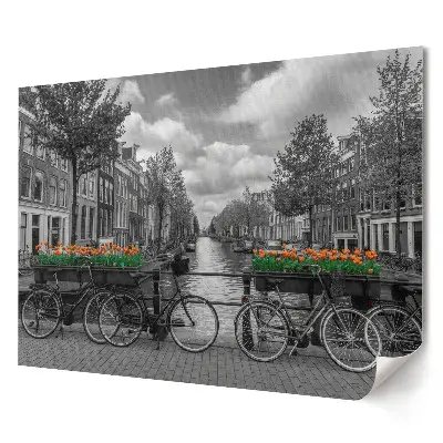 Plagát do obývačky Bicykle a tulipány v Amsterdame