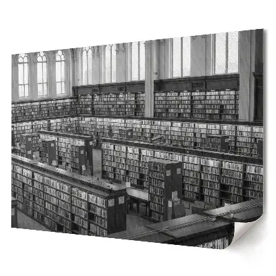 Plagát do obývačky Knižnica plná monochromatických kníh