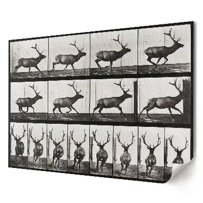 Retro plagát Pohyb jeleňov v sekvencii záberov