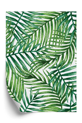 Tapeta na stenu Tropické palmové listy