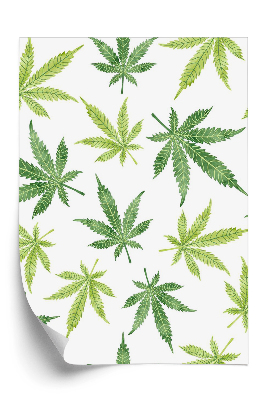 Tapeta na stenu Konope na bielom pozadí marihuany