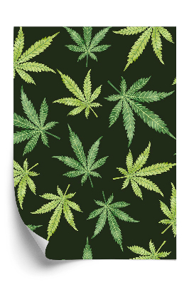 Tapeta Konope na tmavom marihuanovom pozadí