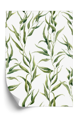 Tapeta na stenu Eukalyptové listy