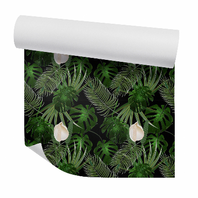 Tapeta na stenu Exotické kvety monstery v rozkvete