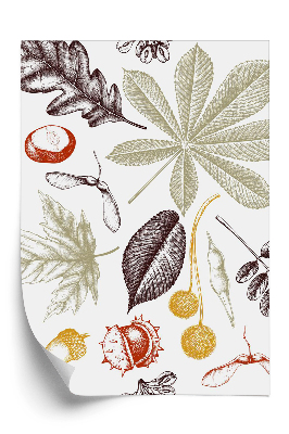 Tapeta Jesenný vzor listov gaštany a žalude