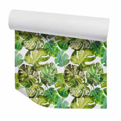 Tapeta Zelené listy monstery akvarel