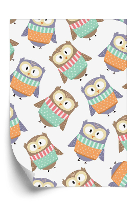 Tapeta na stenu Sladké farebné sovy
