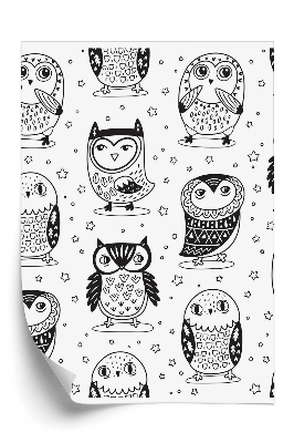 Tapeta Čierne kreslené sovy