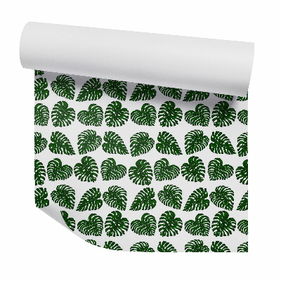 Tapeta na stenu Veľké listy monstery tmavé