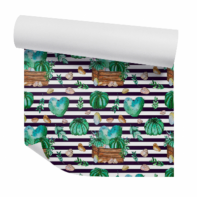 Tapeta na stenu Kaktusy a kamienky na pruhovanom pozadí