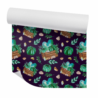 Tapeta Kaktusy v drevených kvetináčoch tmavé