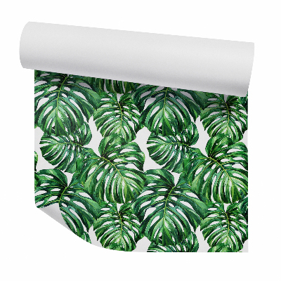 Tapeta Veľké listy monstery nakreslené