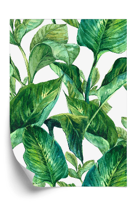 Tapeta na stenu Tropické listy