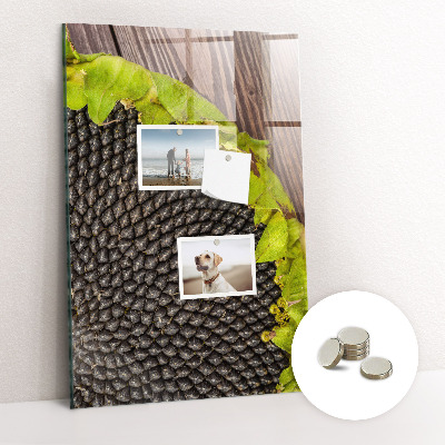 Detská magnetická tabuľa Slnečnicové semienka