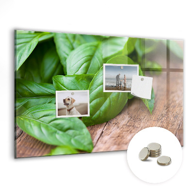 Magnetická tabuľa Bazalkové listy