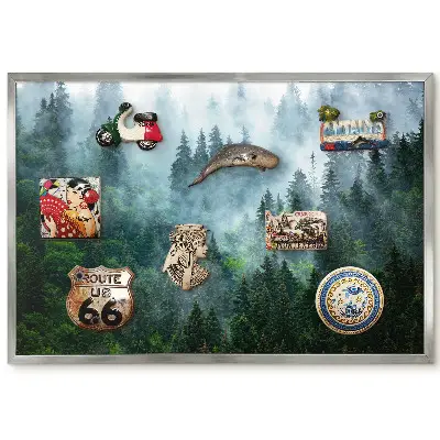 Magnetická tabuľa Hustý les v hmle so zeleňou a svetlom