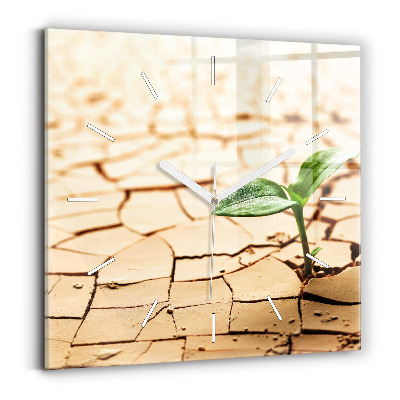 Štvorcové nástenné hodiny Rastlina v suchej zemi